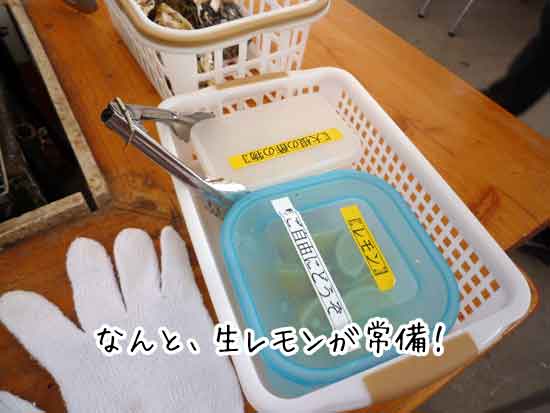 ��h�ۂ̂��܂�