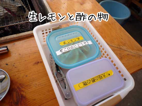 ��h�ہ@���̃�����