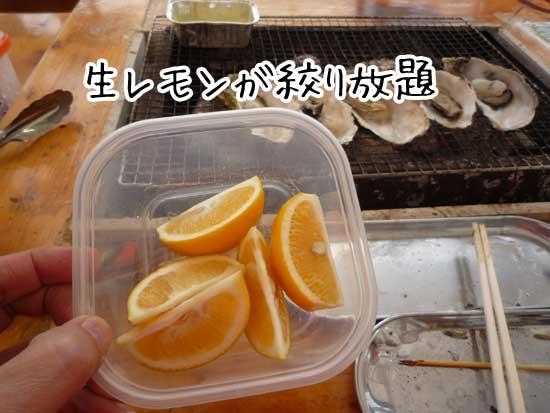 ��h�ہ@�����t���̐��̃�����