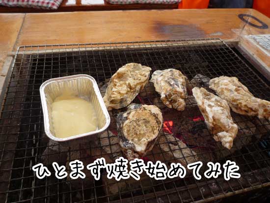 ���y�����@��h�ہ@���y�̗l�q