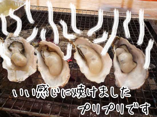 ��h�� ���y���v���v��