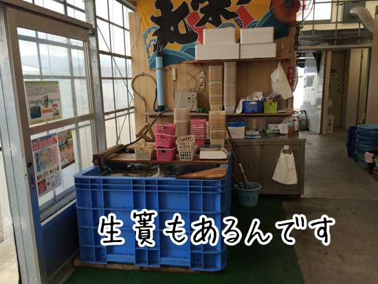 ��h�� ����