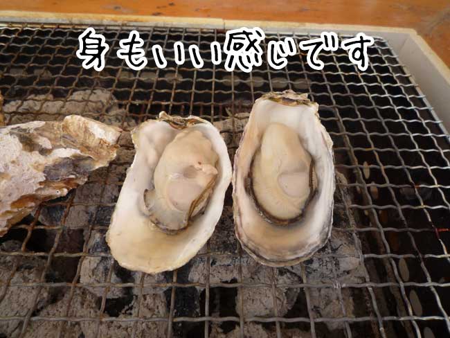 ���y�����@��h�ہ@���y�̗l�q