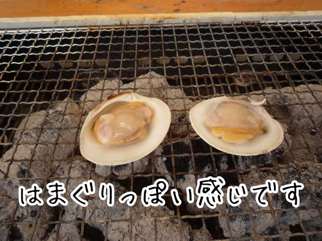 ��h�� �z���r�m�X�K�C