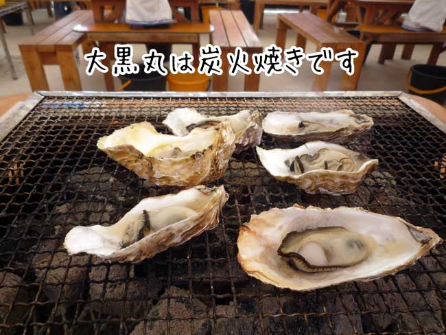 �����̉��y�����@�单��