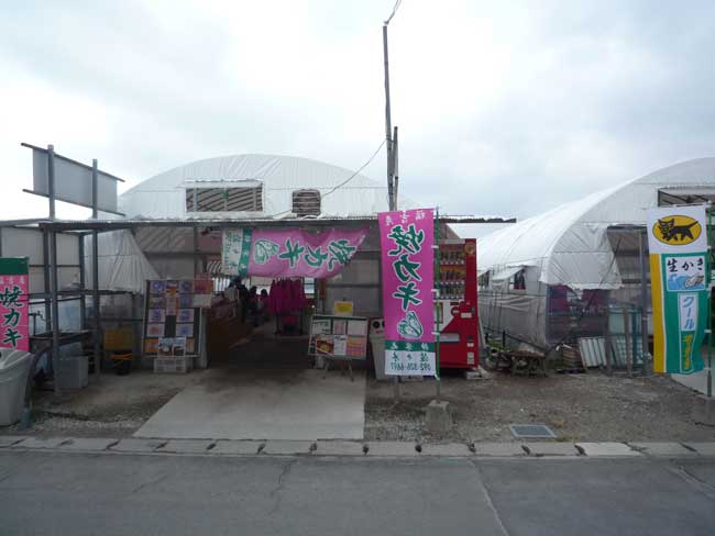 �L�h�ہi���X�؁j�i���g���`�j