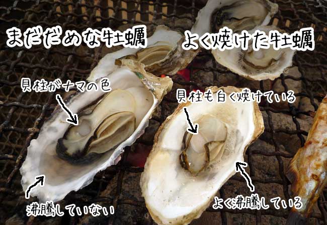 �������y�����@����Ȑ��h�ߑ��u�iUF�}�b�N�X