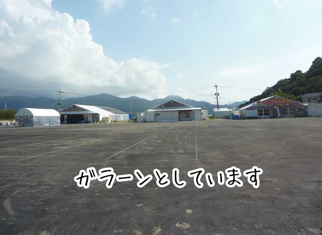 �����̉Ẳ��y�����@�D�z���`