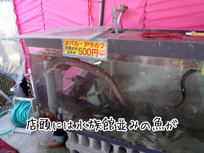 �������̓�����̐����Ō��q���j���ł���