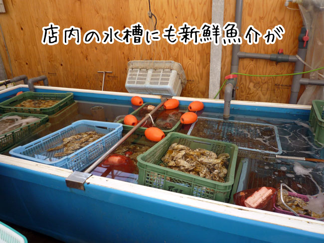 �������@�X���̐���