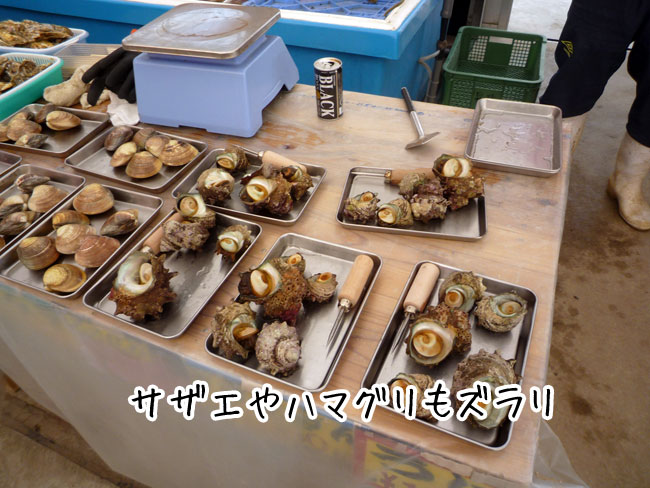 �������@�T�U�G�A�͂܂���