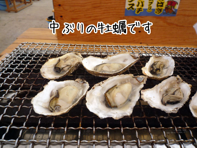 ���y�����@�������@�Ă����y