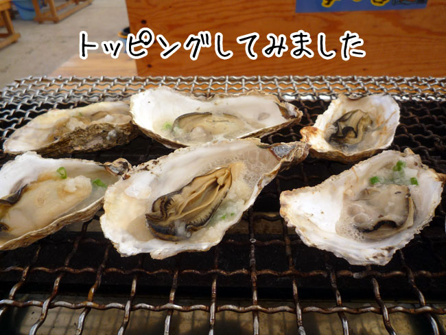 ���y�����@������