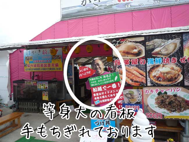 �������̓������������̊Ŕ�