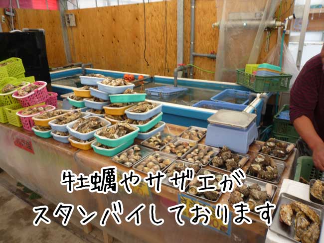 �������@�T�U�G�A�͂܂���