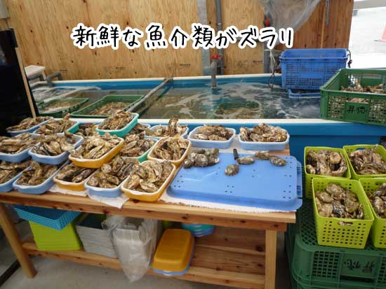 �������̓�����ɂ͐V�N�����