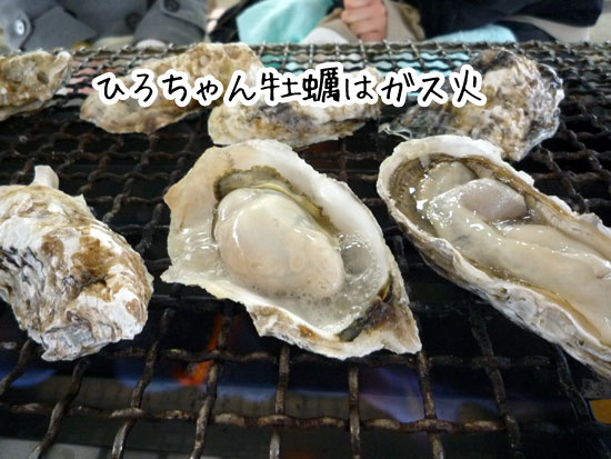 �Ђ낿����y�̓K�X��