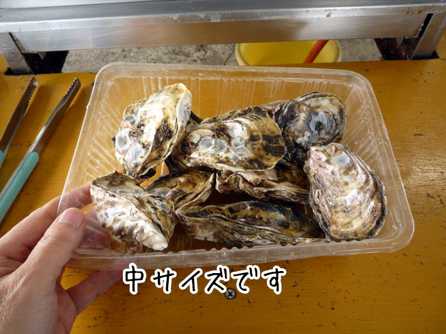 �Ђ낿���J�L�@���T�C�Y