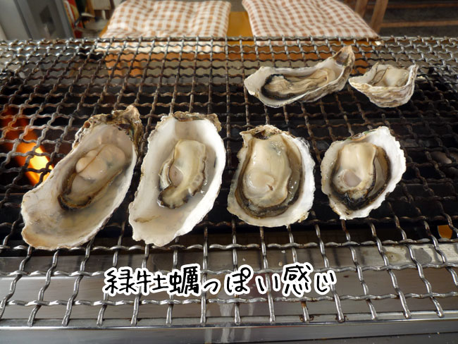 �Ђ낿���J�L�@���̗Ή��y