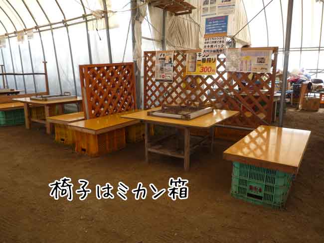 ���y�̔򗴊ہ@���j���[