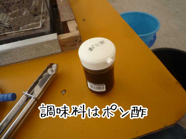 ���y�̔򗴊ۂ̉��y�@������