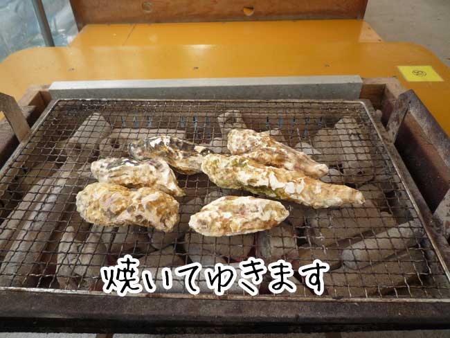 ���y�̔򗴊ۂ̉��y