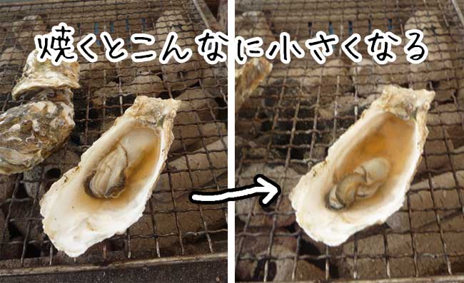 ���y�̔򗴊ۂ̉��y�@�\���