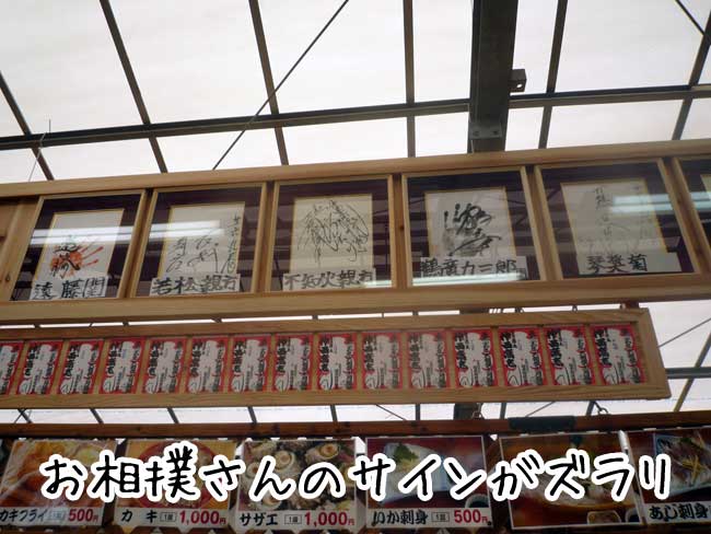 �L���ۂ̑��o����