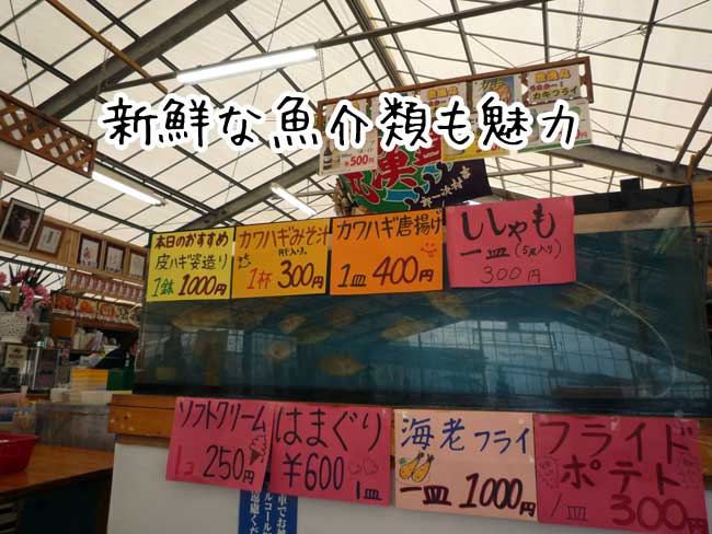 �L���ۂ̐V�N�ȋ����