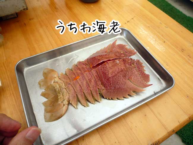 �L���ۂ̃E�`���G�r