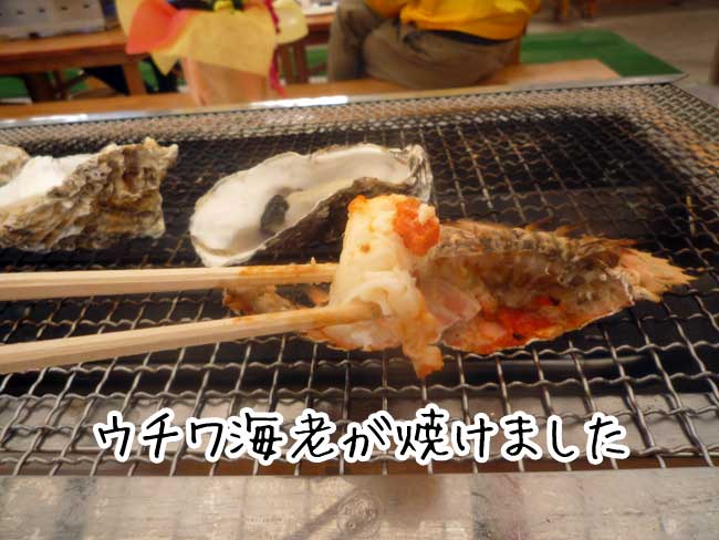 �L���ۂ̃E�`���C�V���Ă��܂���