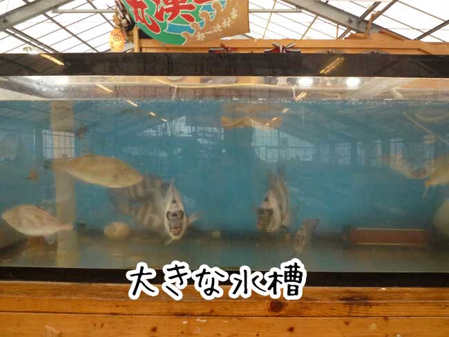 �L���ۂ̐���