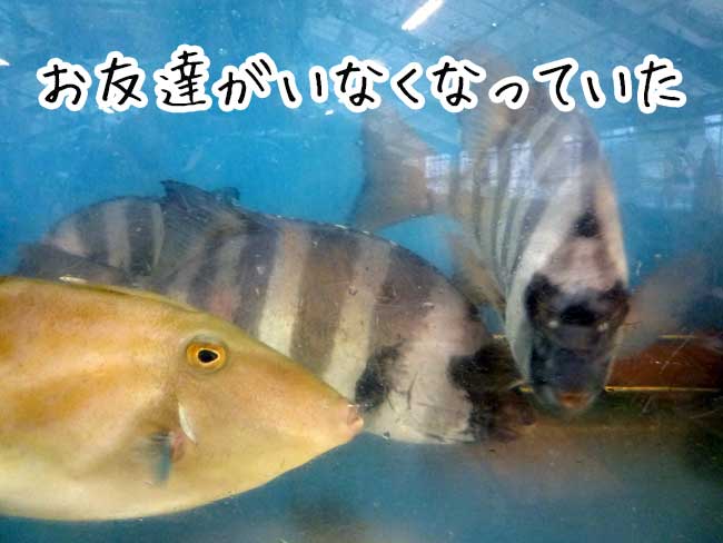 �������y�����@�L���ۂ̓X��