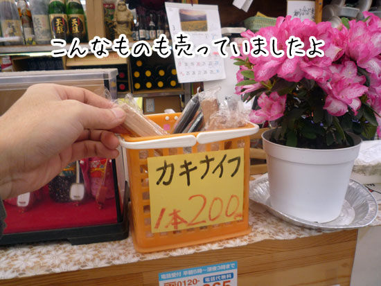 �J�L�i�C�t