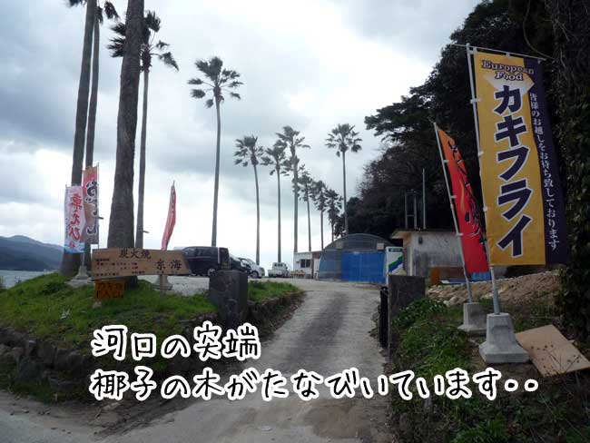 �������y�����@���C