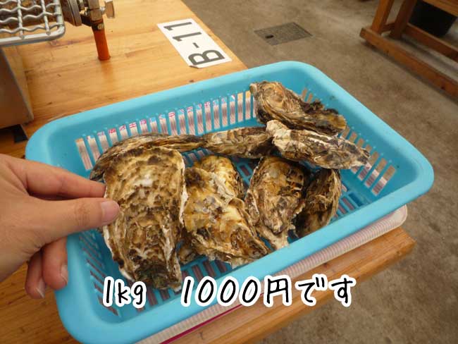 �P������񂩂��̉��y