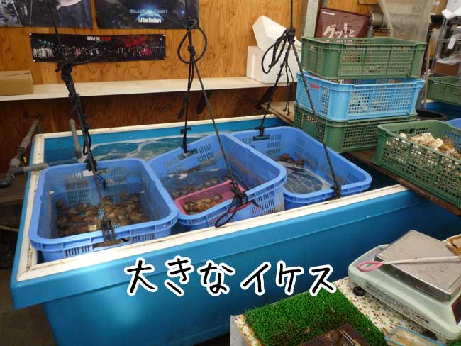 �L������X���@�P������񂩂��@����