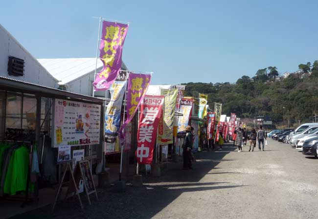 �������y����