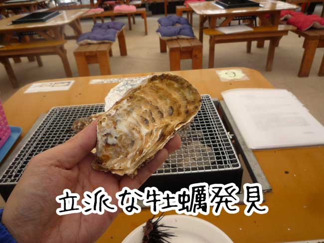 ���h�ہ@�������y