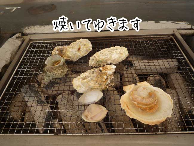 ������Z�b�g�@�O�i�ہi���������j