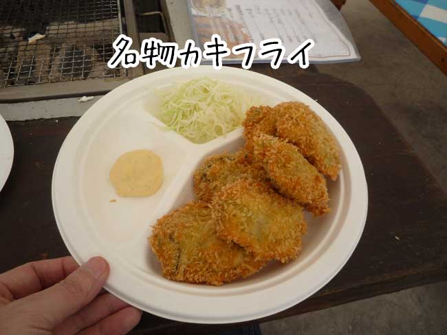 �傫�ȃJ�L�t���C�@�O�i�ہi���������j