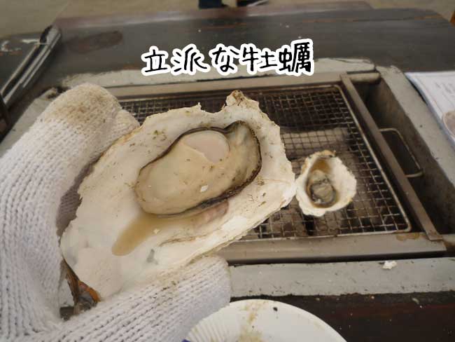 ���h�ȉ��y�@�O�i�ہi���������j