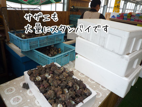 �}���n�`�@�������̐���