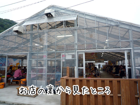 �}���n�`�̗�