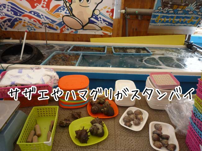 ���y�����}���n�`�@�T�U�G�A�n�}�O��