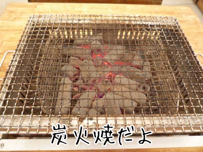 ���y�����}���n�`����@�Y�Ώ�