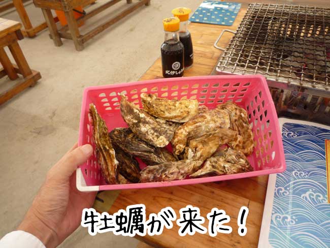 ���y�����}���n�`����̉��y������