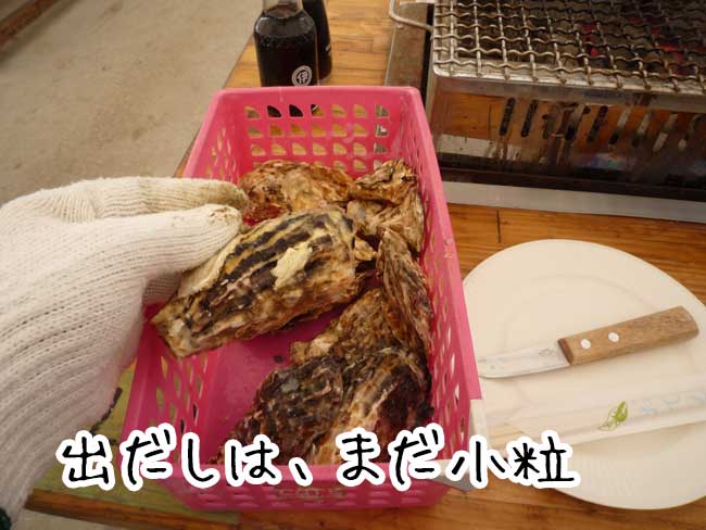 ���y�����}���n�`����̉��y