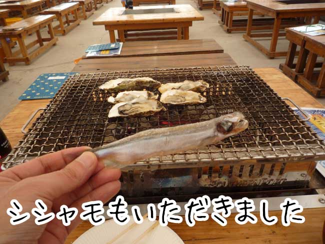 ���y�����}���n�`����V�V����