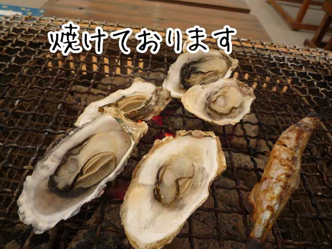 �}���n�`�@�������y����